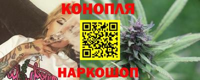 гашик Кингисепп