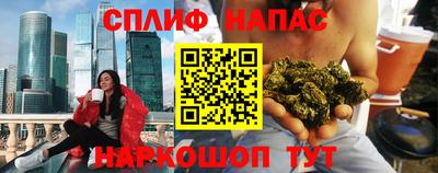 гашик Кингисепп