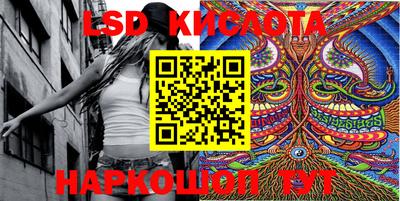 гашик Кингисепп