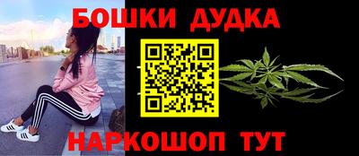 гашик Кингисепп