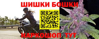 гашик Кингисепп