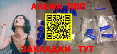 гашик Кингисепп