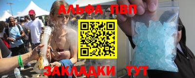 гашик Кингисепп