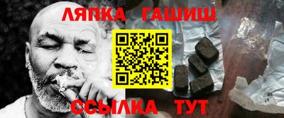 гашик Кингисепп