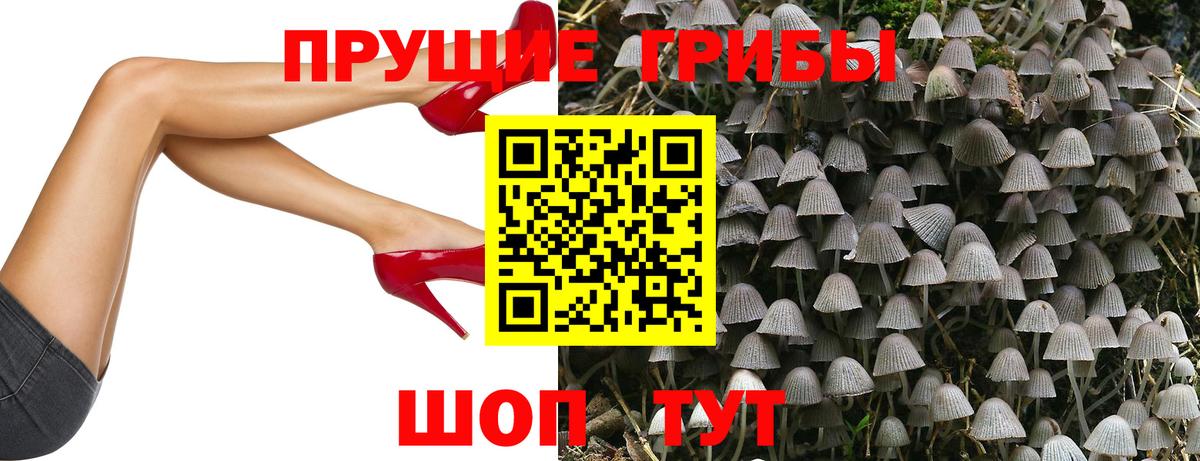Кулебаки  Псилоцибиновые грибы прущие грибы  Вход с VPN 